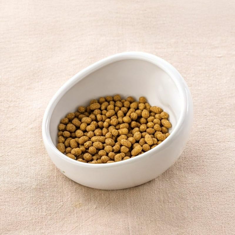 Amazon.co.jp: ドットわん ドットわんごはん 鶏ごはん (500g×1) 犬