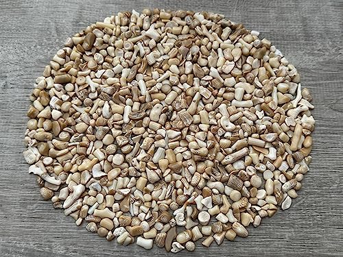 Image of 2 oz Lot Natural Semi Tumbled Gemstone Chips, Crushed Mini Crystals, Undrilled Crystal Chips (White Bamboo Coral)