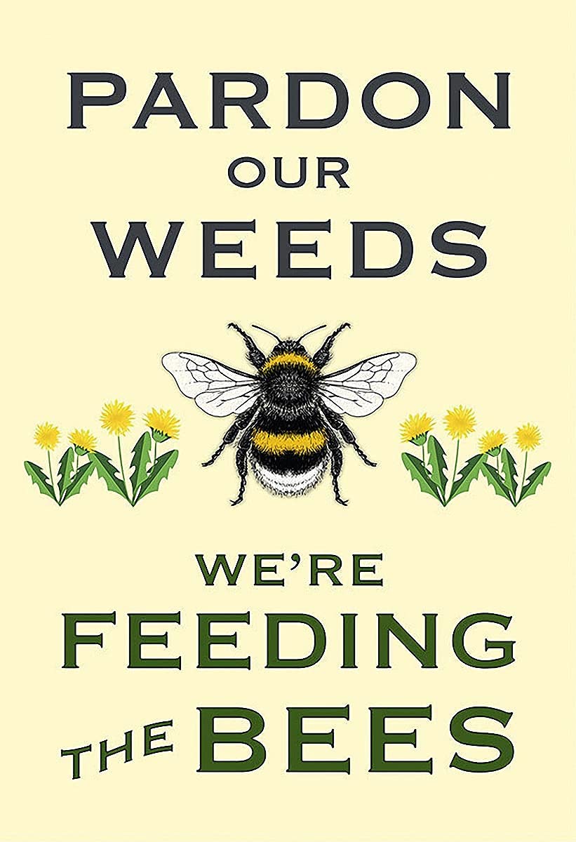 Aperiy Tin Sign002 Ewbob Forgive Our Weeds We Are Feeding The Bees Dandelions To Save The Bee Yard Tin Sign Metal Sign Poster 8X12inch
