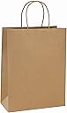 BagDream 10x5x13 Kraft Shopping Bags 100Pcs Brown Paper Bags with Handles Bulk, for Gifts, Merchandise, Retail, Party Favor, Take-out, Grocery, Recycled Paper Gift Sacks