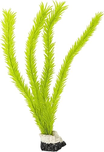 Specialist Aquatics Artificial Aquarium Plant, Bright Green Plastic Fish Tank Decoration with Heavy Base, Safe for Freshwater & Saltwater Aquariums