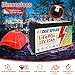 DEESPAEK 12V 10Ah LiFePO4 Battery, Rechargeable Deep Cycle Lithium Batteries with 10A BMS, Perfect for Alarm System, Backup UPS, Radio, and Emergency Lighting