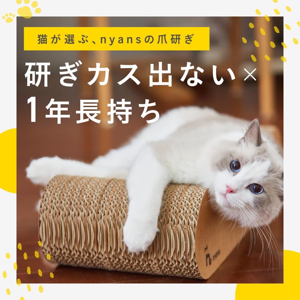 Amazon.co.jp: 【 とぎカスがでない ・ 1年高耐久 ・ 純日本製