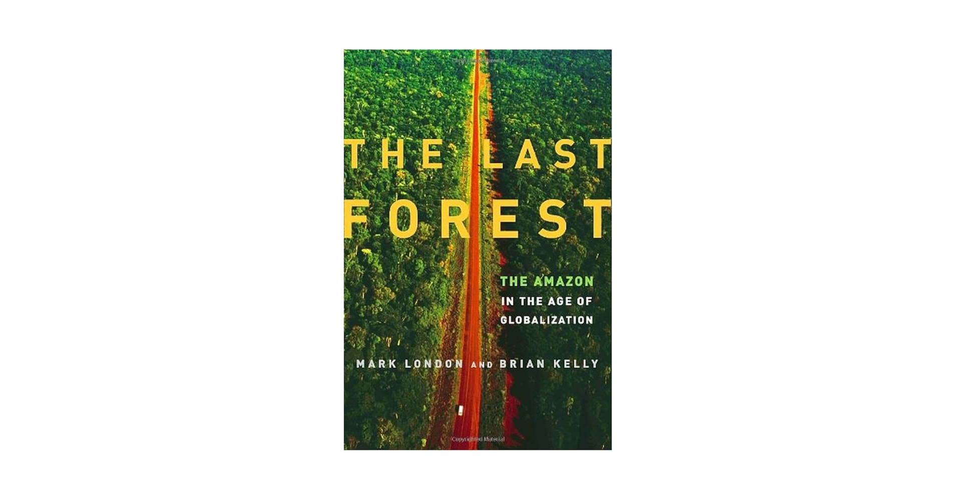The Last Forest: The Amazon in the Age of Globalization