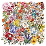 Waterproof Stickers - These funny stickers are made of high quality vinyl PVC which is sun protection and waterproof, safe and durable. The design is more precise and clear, and the color hardly fades. These reusable stickers are easy to paste or pee...