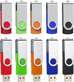 Pendrive 2GB 10 Unidades Memoria USB 2GB con Etiquetas útiles, lápiz Giratorio USB 2.0 Pen Drive para Almacenamiento de Datos (Colores Mixtos: Negro, Rojo, Azul, Verde y Naranja)