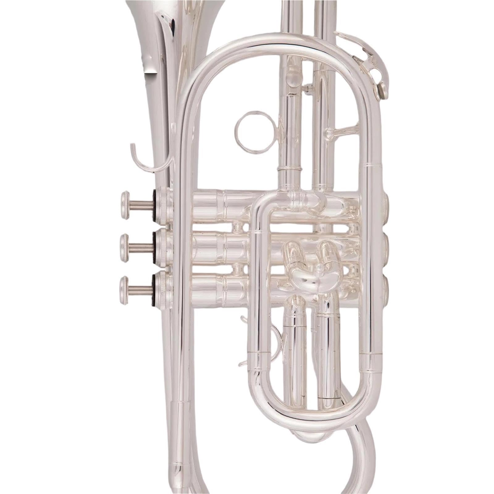 Professional Trumpet Trompeta Sib Principiante