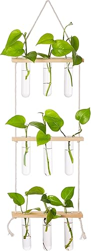 Maceta de cristal para colgar en la pared, moderna, encantadora terrario con soporte de madera, jarrón de tubo de ensayo, soporte para maceta de
