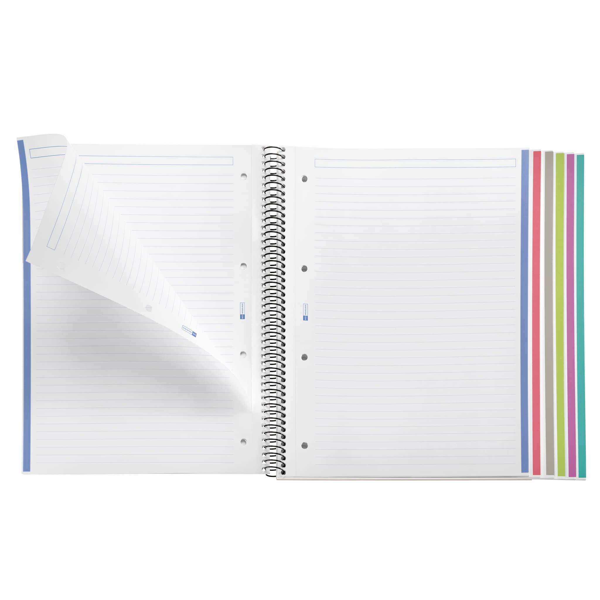 Miquelrius, The Original A4 Notebook, 6 Coloured Stripes, Opaque Polypropylene Cover, Size 210 x 297 mm, 4 Drills - Image 3