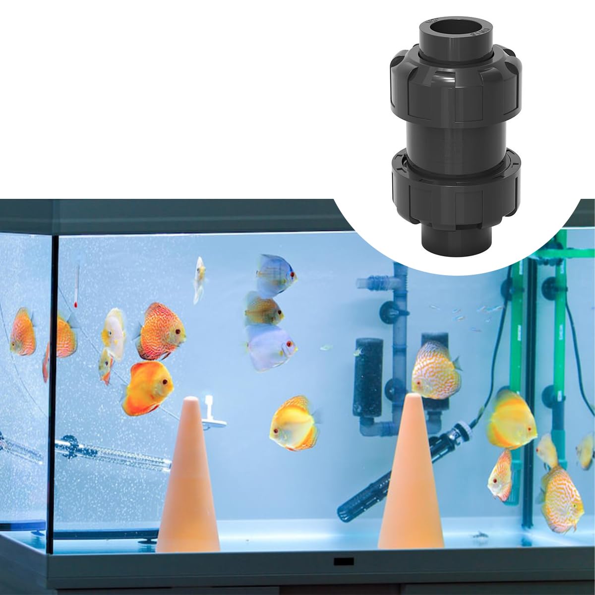 Qury Válvula de retención de bola de PVC, válvula de agua antirretorno con resorte, para uso en piscina y fontanería (diámetro interno 50 mm)