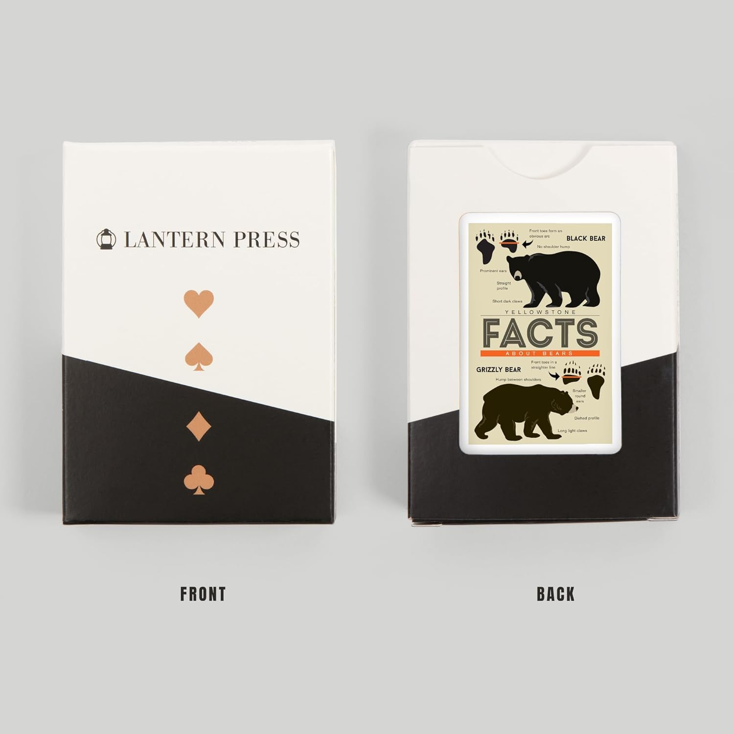 Lantern Press Yellowstone, Facts About Bears, Grizzly and Black Bear, 52 Playing Cards for Adults, Poker Size Card Deck