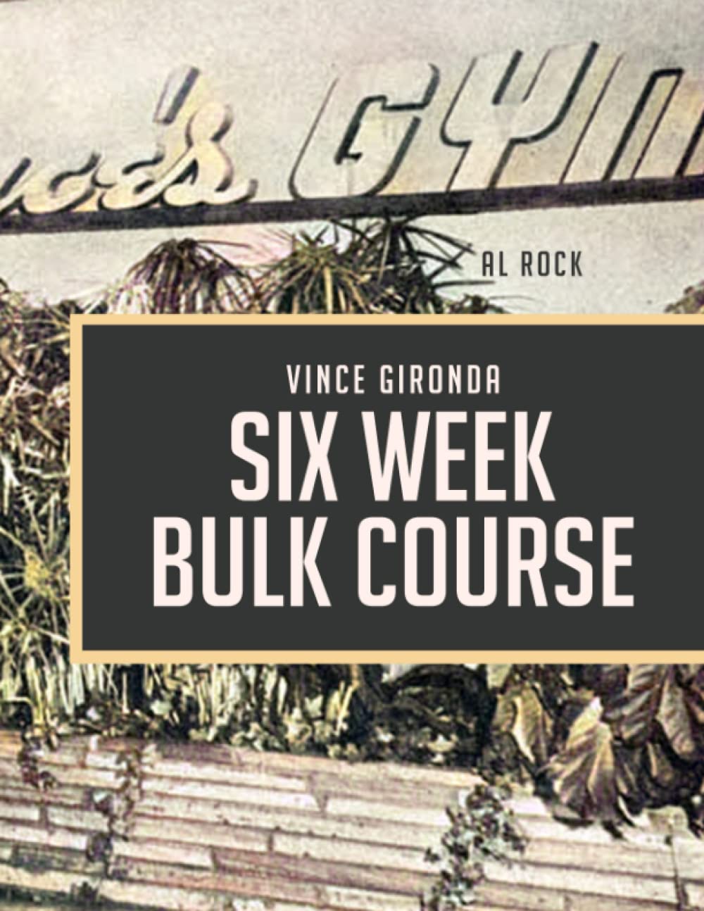 VINCE GIRONDA'S SIX WEEKS BULK COURSE (Print Replica): VINCE GIRONDA NATURAL BODYBUILDING Paperback – September 25, 2022