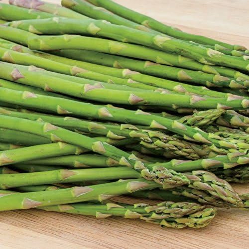 100 Starter Crown Plants of qyo Bare Rooted Jersey Knight