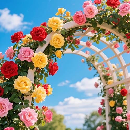 Miniatura 3 de Más de 600 semillas de rosas trepadoras para plantar al aire libre, decoración de jardín de larga floración