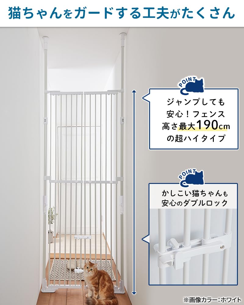Amazon.co.jp: PET SELECT (ペットセレクト) のぼれんニャン 本体 