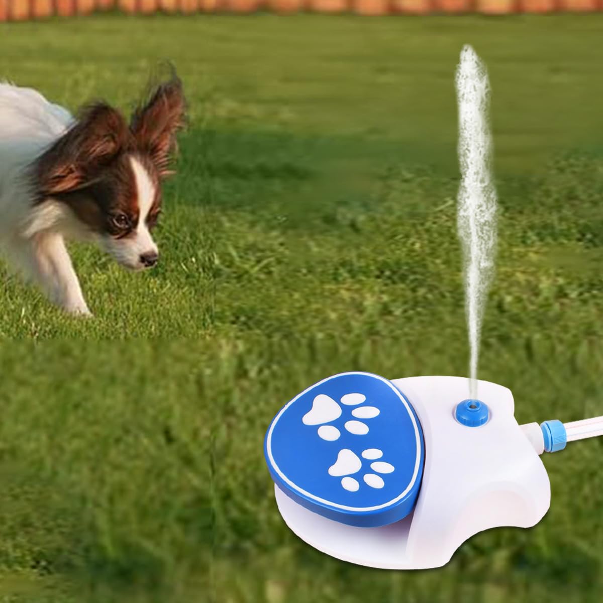 Wasserfontäne mit Pedal, Pfotenaktivierter Hunde Trinkbrunnen, Wasserspielzeug Für Welpen Im Garten Und Rasen, Fußbetätigter Wasserspender mit Sprinklerfunktion
