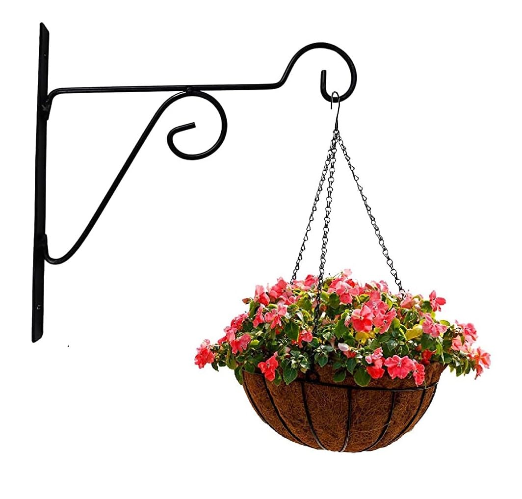 Craft Mshopr "Outdoor Iron Hanging Planter Brackets, Black, Medium Size: 10x1x10 - Weatherproof Garden Wall Mounted Hooks for Heavy-Duty Plant Holders (B0CRRSRZYF) Amazon Price History, Amazon Price Tracker