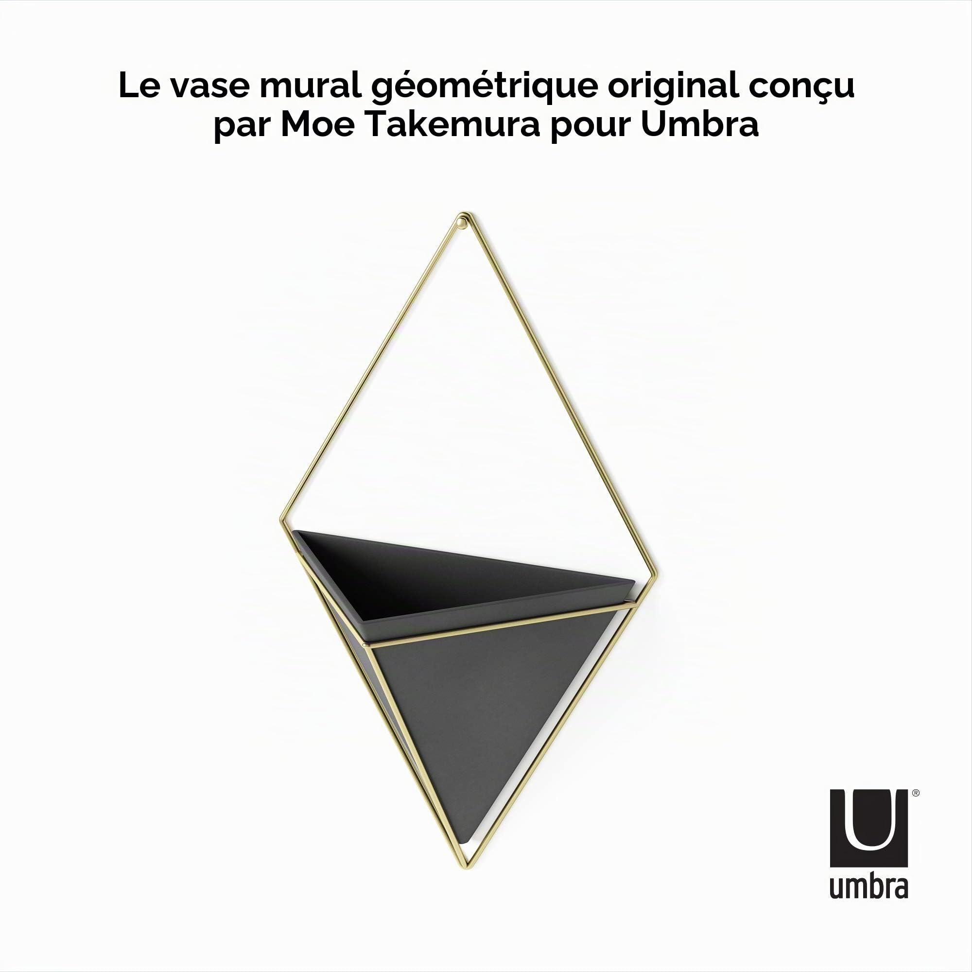 Umbra Trigg Jardinière Suspendue et Décoration Murale Géométrique pour Petite Plante. Plante Succulente et Bien Plus Encore. Noir/Laiton. Grand