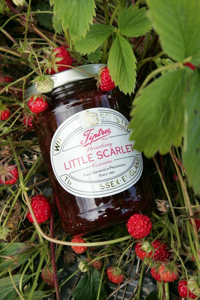 Tiptree Little Scarlet Strawberry Preserve, 12 Ounce Jar (Pack of 2)