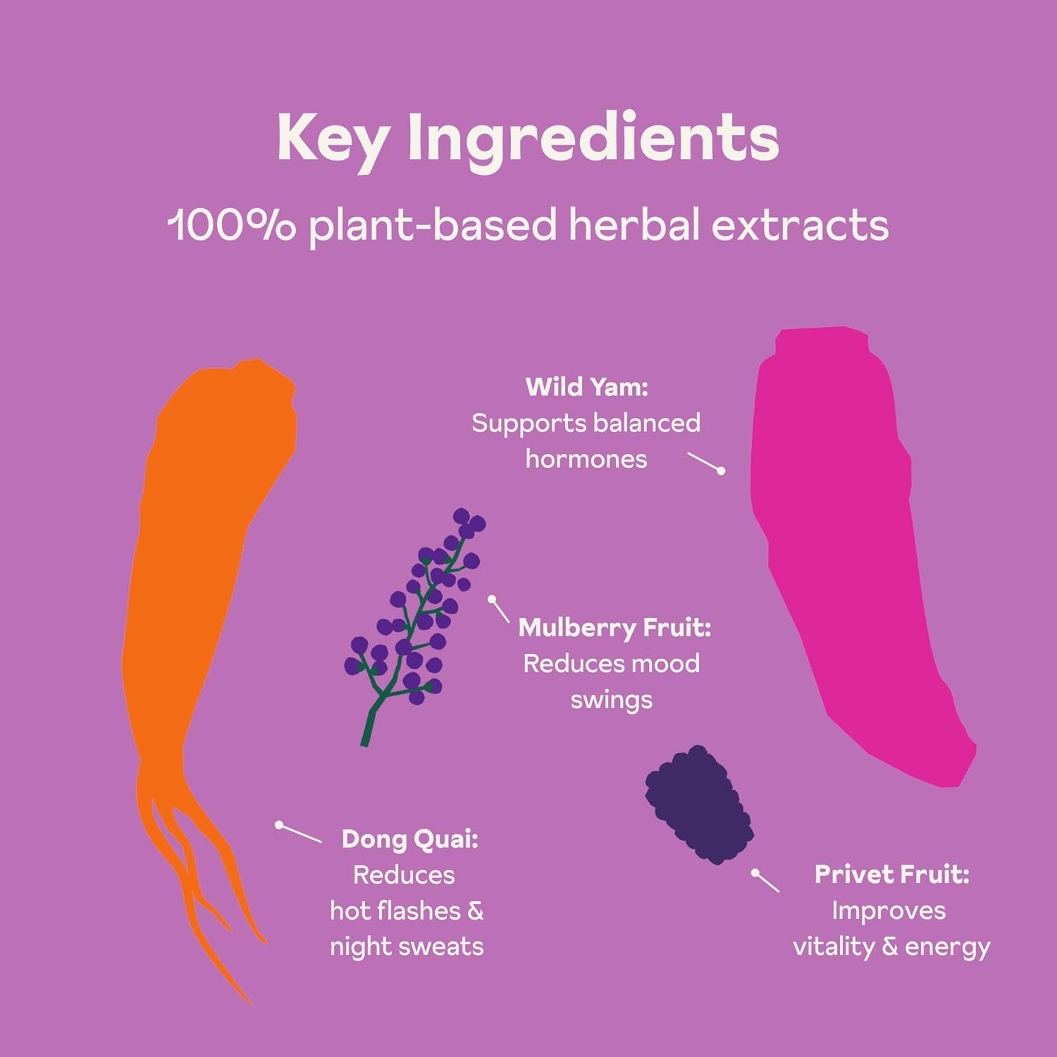 Menopause Gummies for Women | Healthy, Balanced Hormones | Reduce Hot Flashes, Night Sweats | Boosts Mood, Vitality, Energy| Dong Quai, Wild Yam, Mulberry, Privet Fruit | Low Sugar Chews, 60 Gummies - Image 4