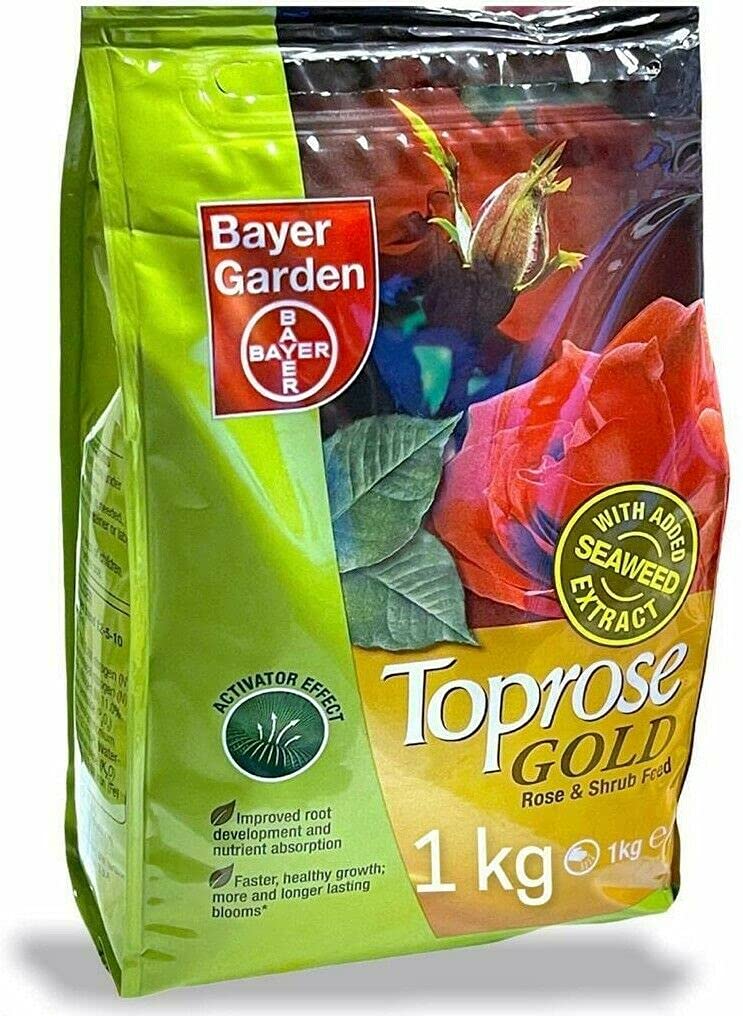 Buy PaulStore Bayer Toprose Top Rose Gold Garden Rose & Shrub Feed