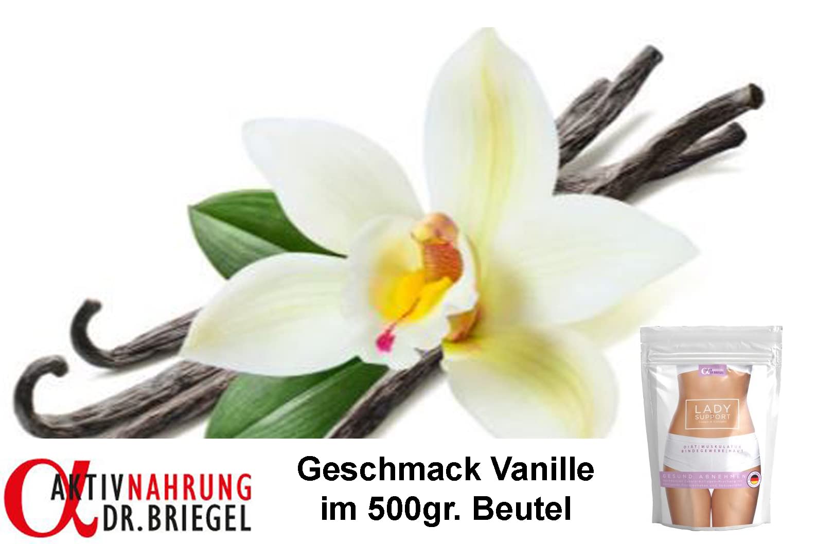 Protein-/Diätshake Lady Support Casein & Kollagen (Vanille)