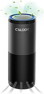 Portable Air Purifier, Car Air Purifier with H13 True HEPA Filter for Allergies, Smoke, Dust and Odor Eliminator, HEPA Air Purifier for Car Traveling Bedroom Office