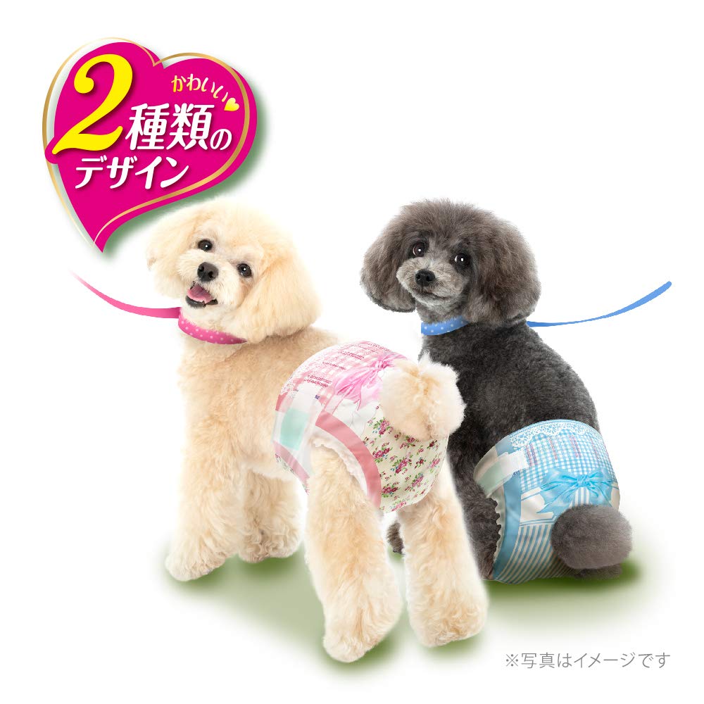 Amazon | マナーウェア 犬用 おむつ 女の子用 SSサイズ 超小型 小型犬