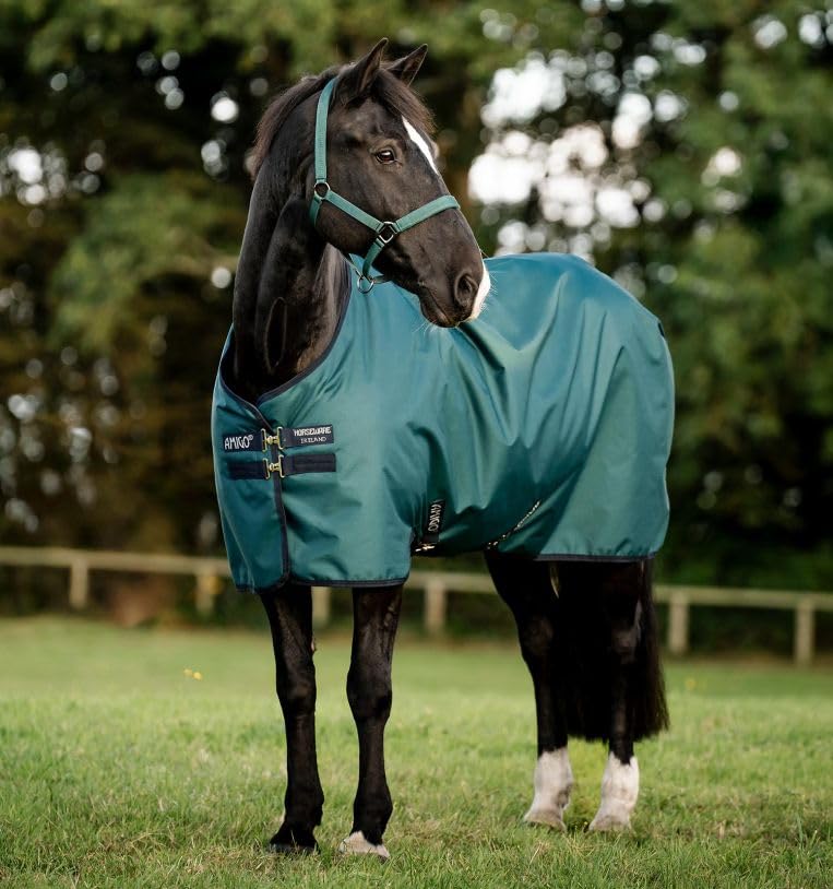 Horseware Amigo Ripstop 900D 50g Turnout Weide Decke Dynasty Green/Navy & Silver