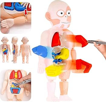 Merten HO 人体模型、動物模型セットまとめ売り Merten HO 人体模型、動物模型セットまとめ売り Merten HO 人体模型