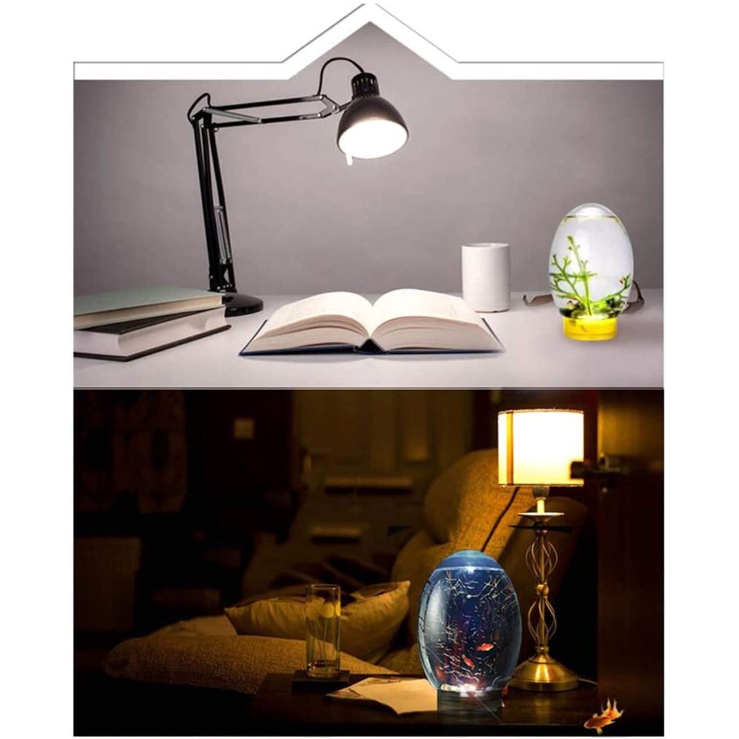 Amazon.co.jp: YYDX 閉鎖水族館、ミニエコスフィア水槽水生生態系、LED