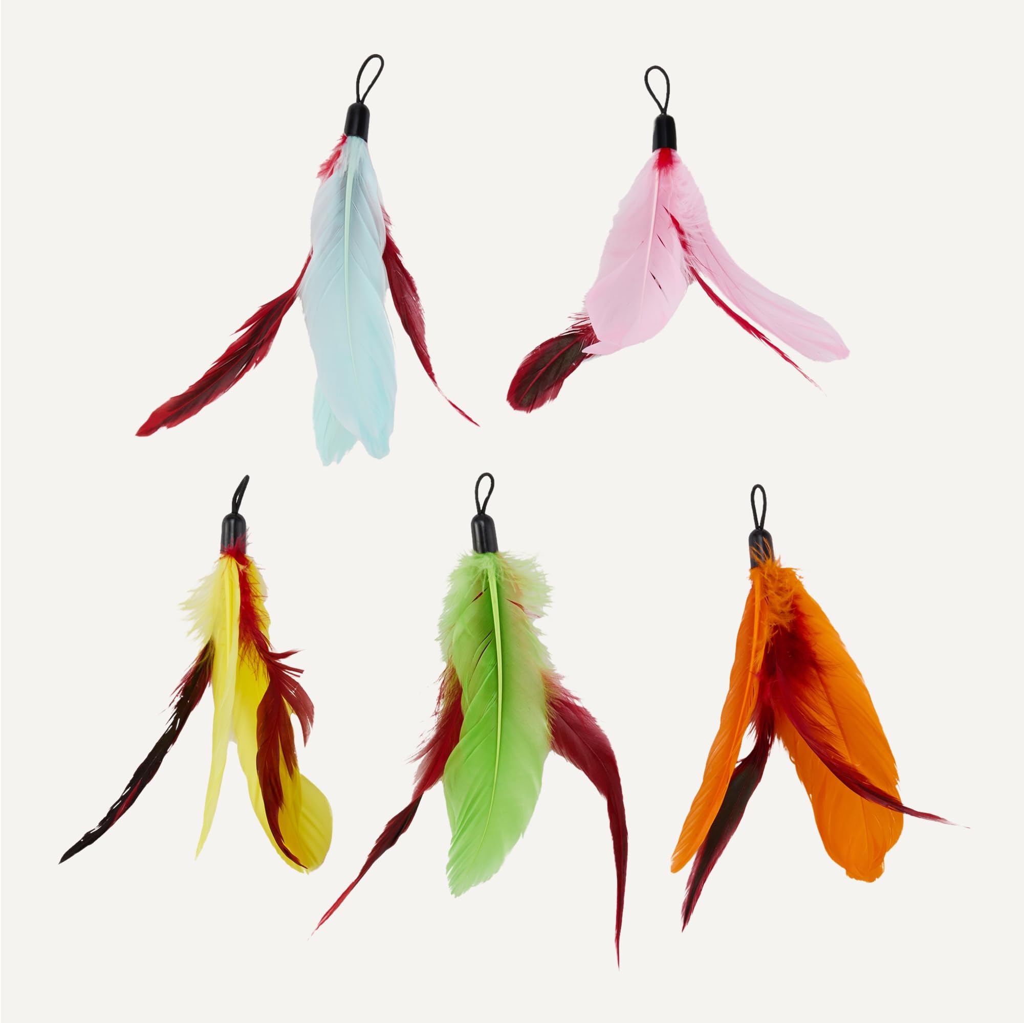 Amazon Basics Cat Feather Toy Kit with 2 Stick and 10 Refills (in 2 Styles) - 5