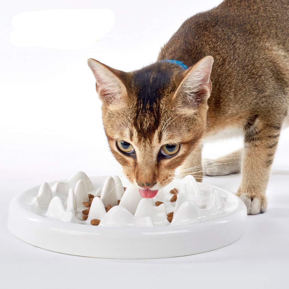 Cat Slow Feeder Bowl, DotPet Ceramic Fun Interactive Feeder Bloat Stop Cat Bowl Preventing Feeder Anti Gulping Healthy Eating Diet Pet Bowls Against Bloat, Indigestion and Obesity