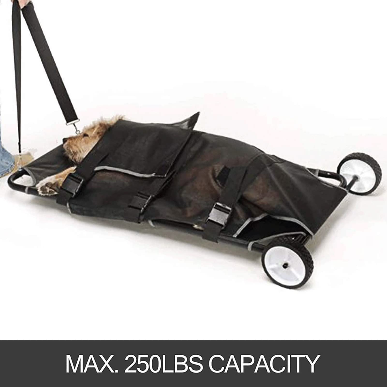 Carrito para mascotas con sobre de malla, fácil de mover y plegable para transporte de animales