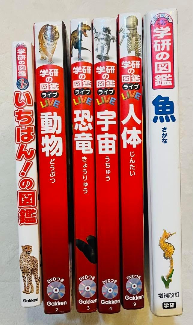 くもん　カード　※19個セット くもん カード ※19個セット くもん カード ※19個セット くもん