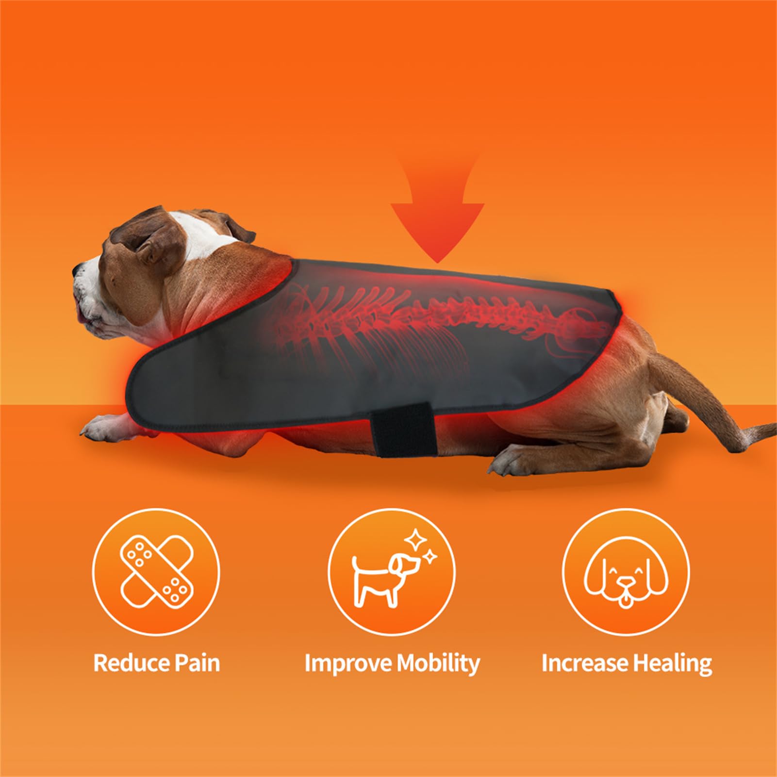 犬専用 近赤外線 赤色LED治療器 犬専用 近赤外線 赤色LED治療器