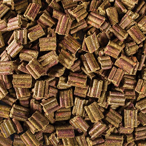 Kaytee-FieldForest-Guinea-Pig-Food-4-Pounds Kaytee Field+Forest Guinea Pig Food 4 Pounds - Image 4