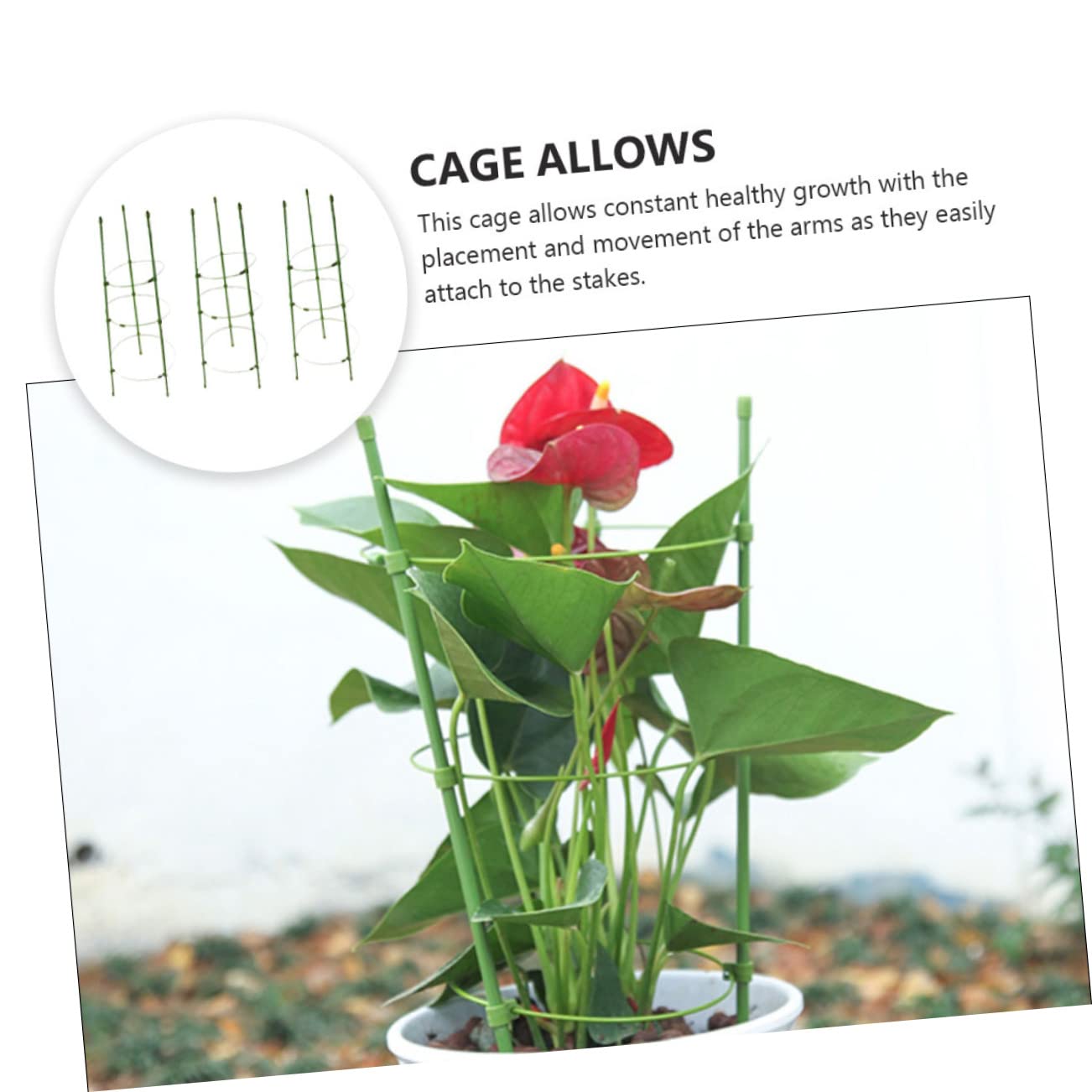 3ensembles Cages à Plastifié Supports pour Plantes Grimpantes Treillis Durable Et Aux Intempéries pour Légumes Et Fleurs