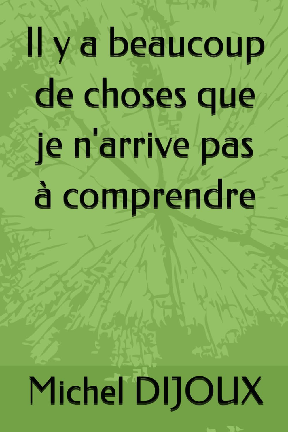 Il y a beaucoup de choses que je n'arrive pas à comprendre