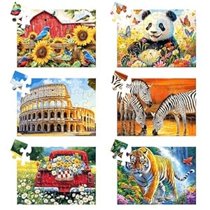 4 stuks 24 grote stukjes puzzel voor senioren – dementie puzzels voor oudere volwassenen, Alzheimer puzzels geheugen cognitieve spellen voor oudere senioren met 4 opbergzakken