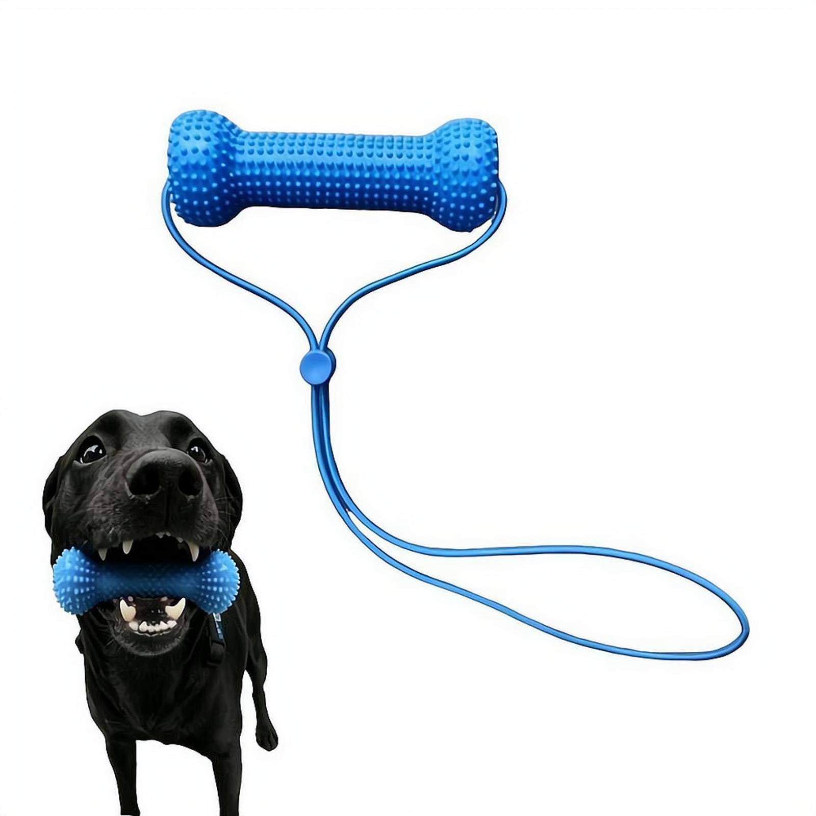 Dual-Action Canine Dental Holder, Teeth Cleaning Tools, Dog Dental Chew Toyfor Easier Teeth Brushing, Reusable Pet Oral Care Tool & Chew Toy for Small, Medium, Large Dogs