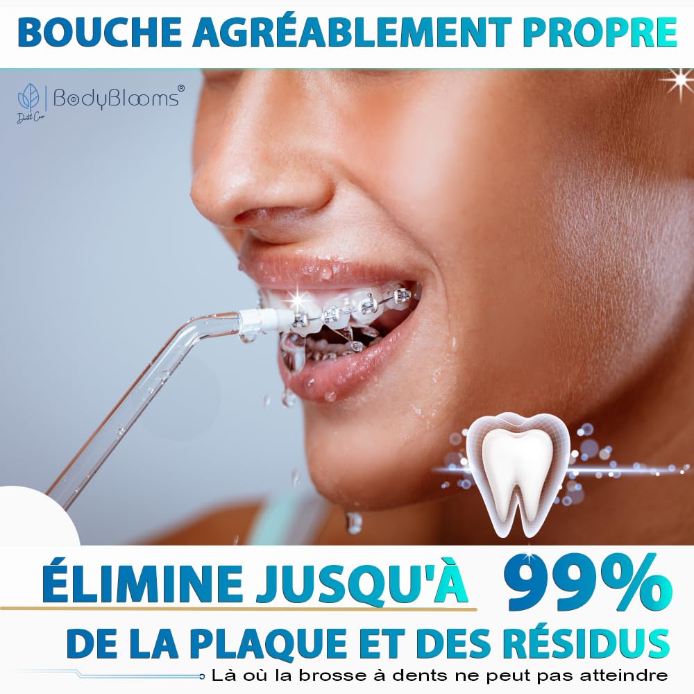 Hydropulseur dentaire DENTAL V-PRO 300 ml |Jet dentaire hydropulseur IPX-7,USB-C pour hygiene dentaire, cure dent |Hydropulseur avec 5 buses et 1 miroir dentaire | water flosser