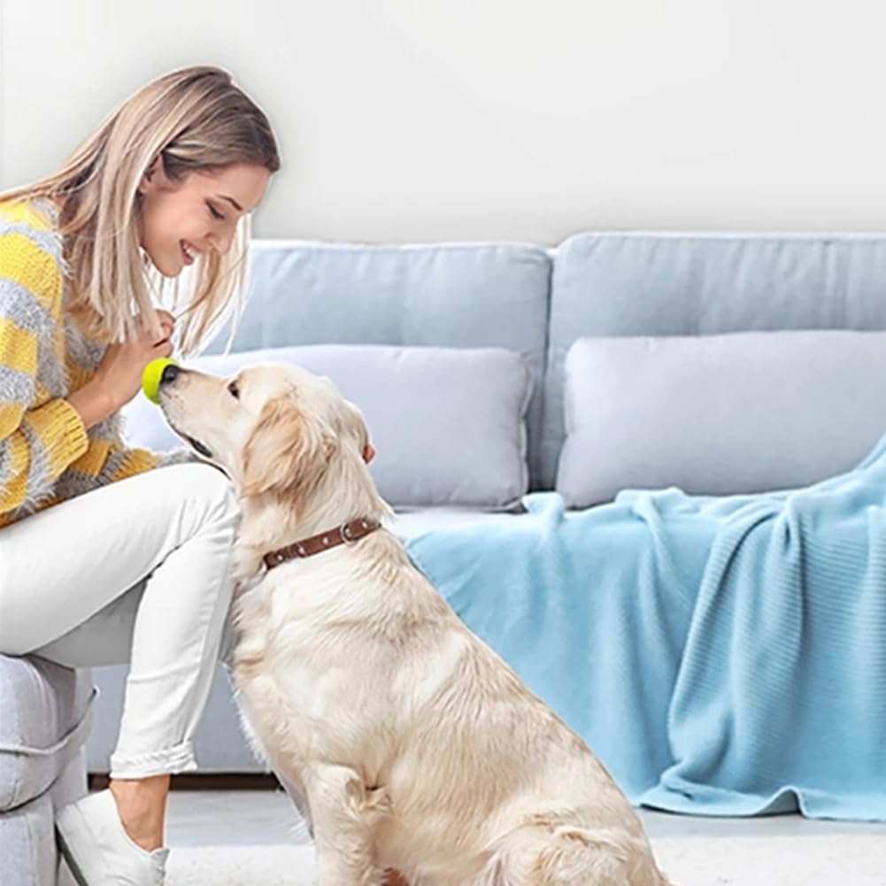 Máquina Interactiva Divertida Catapulta Interactiva Divertida Lanzador de Pelotas de Tenis para Perros Recargable Persigue A Perros Juguetes Automáticos A