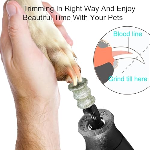Miniatura 3 de Molinillo de uñas y recortador de uñas para perros, herramienta de aseo de uñas para perros Dremel - Accesorio para amoladora de uñas para mascotas