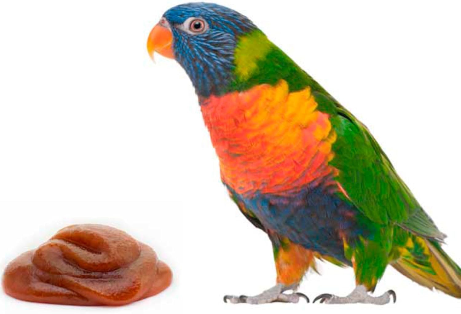 Lorifeed - Kompletter Loris-Nektar 10 kg - Futter für nektarfressende Vögel - Natürliche Formel - Premium-Qualität und Verdauungsgesundheit - Davianfeed