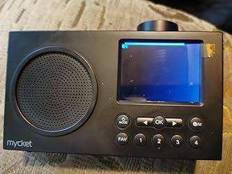 Mycket DAB Radio Portable, DAB Plus Digital Radio with Bluetooth, USB ...