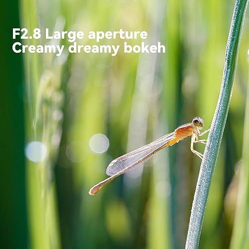 Miniatura 5 de TTArtisan Lente F2.8 Macro APS-C de 1.575in Enfoque manual Sony-E Montaje como A5000, A5100, A6000, A6100, A6300, A6400, A6500, A6600, NEX-3,