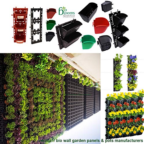 BIO BLOOMS AGRO INDIA PRIVATE LIMITED Plastic Hanging Pot -Blackcolour, Standard, Pack of 15 Frame with 45 Pots