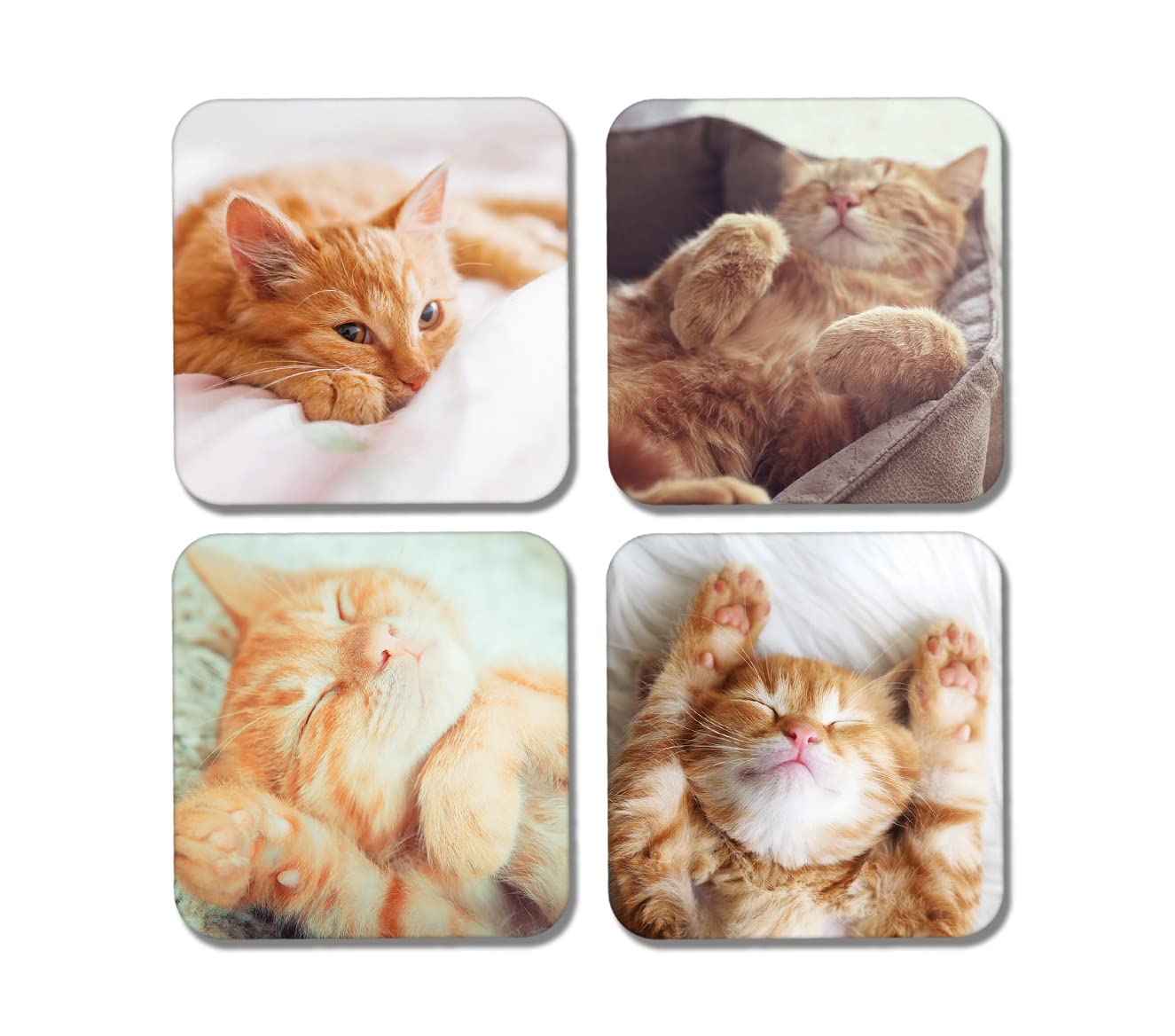 4 x Square Ginger Cats Coasters - Cute Animals Pets Cat Kitten Home Gift #77921