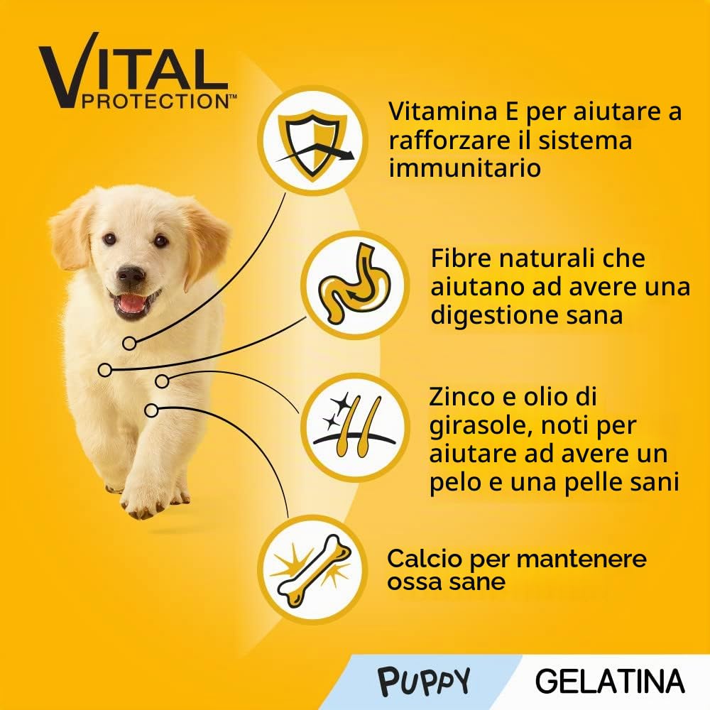 Pedigree Multipack di cibo umido per cani Junior in gelatina, Gusto Pollo Bue e Riso, 13 confezioni x 4 bustine x 100 g